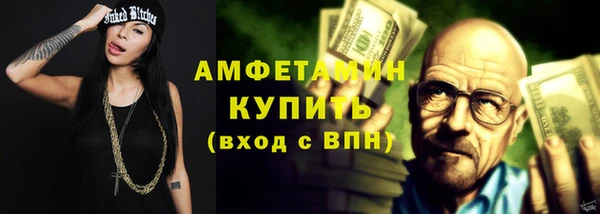 молекула духа Краснослободск